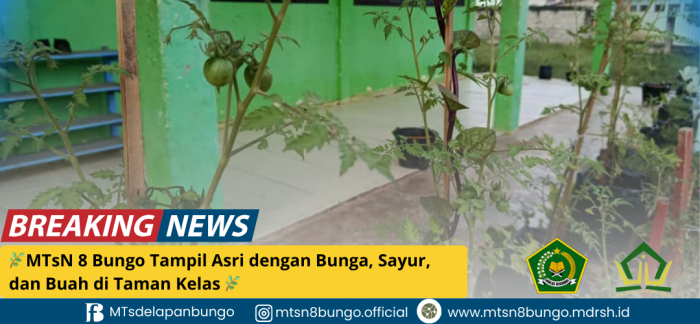 MTsN 8 Bungo Tampil Asri dengan Bunga, Sayur, dan Buah di Taman Kelas