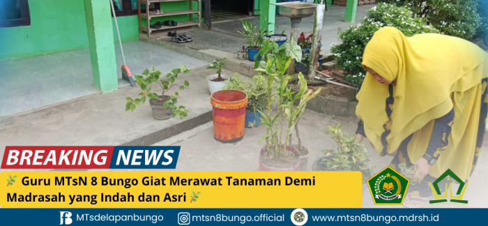 Guru MTsN 8 Bungo Giat Merawat Tanaman Demi Madrasah yang Indah dan Asri