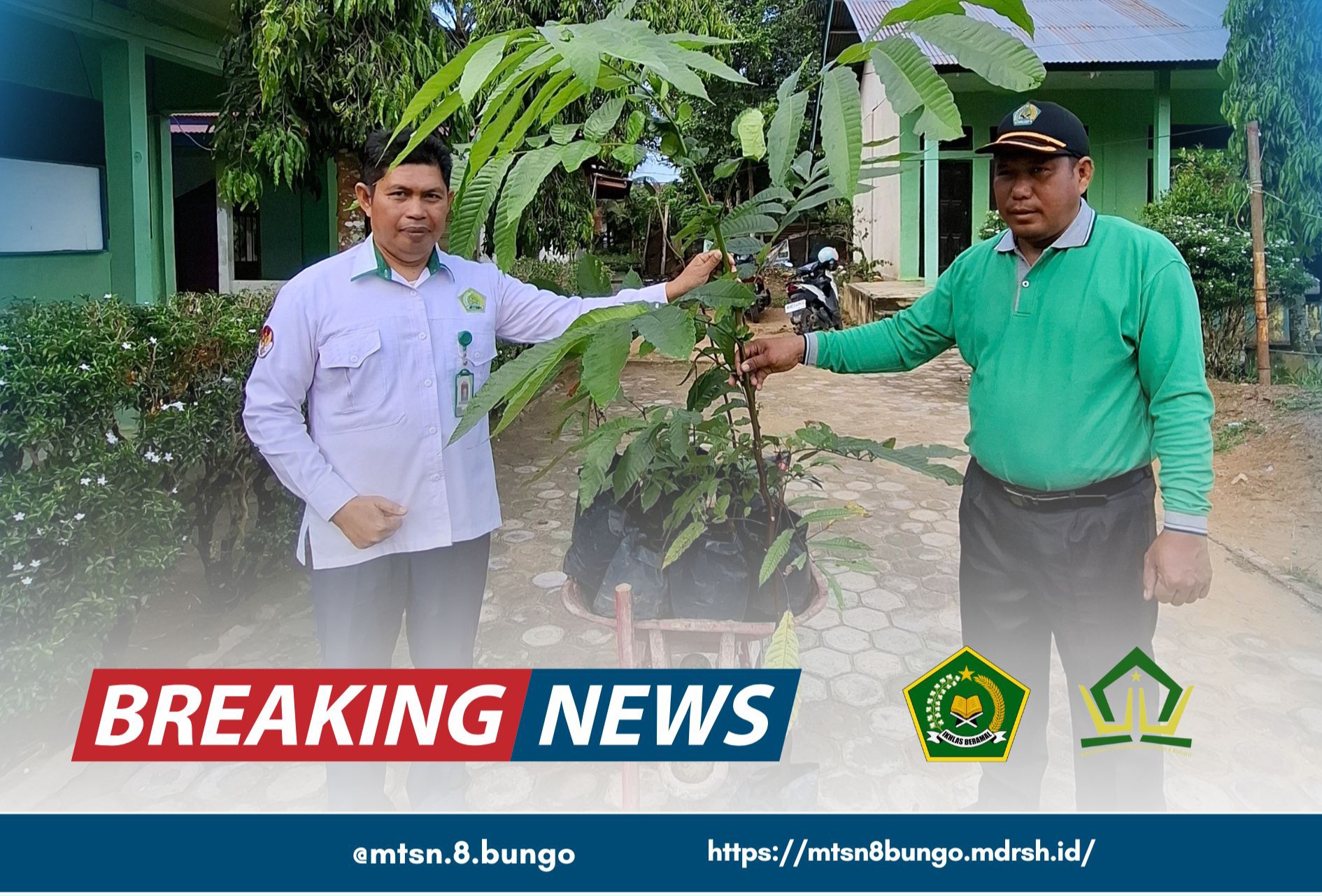 MTsN 8 Bungo Ambil Bagian dalam Program Penanaman 1 Juta Pohon Matoa 
