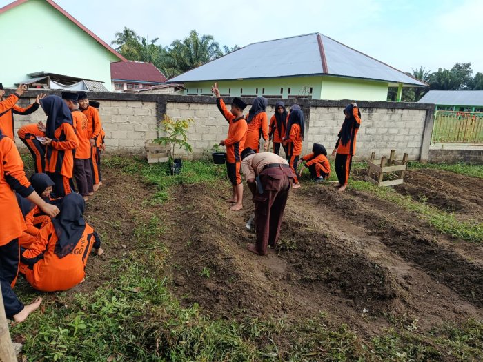 Kelas VII B MTsN 8 Bungo Ciptakan Kebun Kangkung Mini, Ketua Kelas: Menanam Hari Ini untuk Masa Depan yang Lebih Hijau Kelas VII B MTsN 8 Bungo Ciptakan Kebun Kangkung Mini, Ketua Kelas: Menanam Hari Ini untuk Masa Depan yang Lebih Hijau