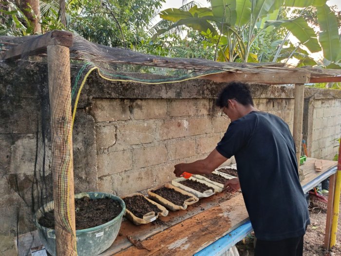 Memanfaatkan Lahan Kosong dan Barang Bekas, MTsN 8 Bungo Kembangkan Persemaian Sayuran dan Buah Bernilai Edukatif Memanfaatkan Lahan Kosong dan Barang Bekas, MTsN 8 Bungo Kembangkan Persemaian Sayuran dan Buah Bernilai Edukatif