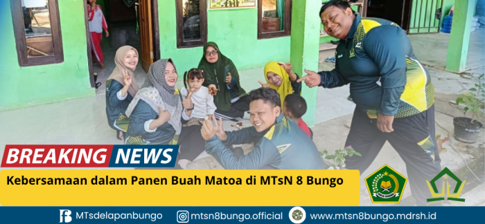 Kebersamaan menikmati hasil Panen Buah Matoa di MTsN 8 Bungo