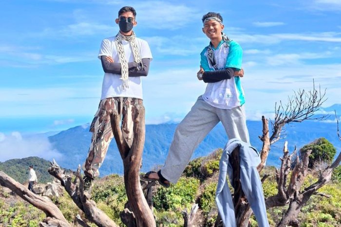 Semangat Menjelajah dan Meneliti: Dua Tendik MTsN 8 Bungo Taklukkan Gunung Talang 2.597 Mdpl Demi Eksplorasi Ilmiah