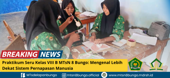 Praktikum Seru Kelas VIII B MTsN 8 Bungo: Mengenal Lebih Dekat Sistem Pernapasan Manusia