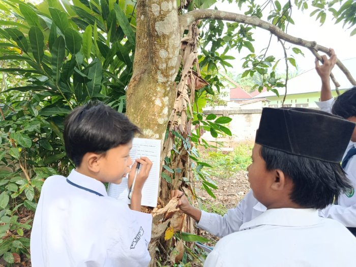 Belajar IPA Menyatu dengan Alam: Siswa Kelas VII A MTsN 8 Bungo Kenali Lichen Secara Langsung